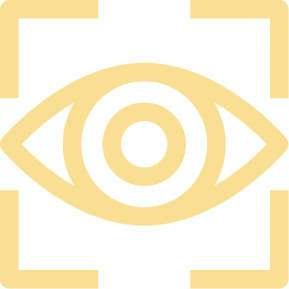 vision